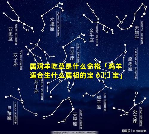 属鸡羊吃草是什么命格「鸡羊适合生什么属相的宝 🦟 宝」